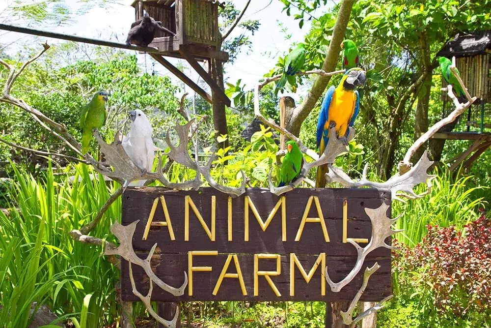 Animal Farm at Tagaytay Highlands