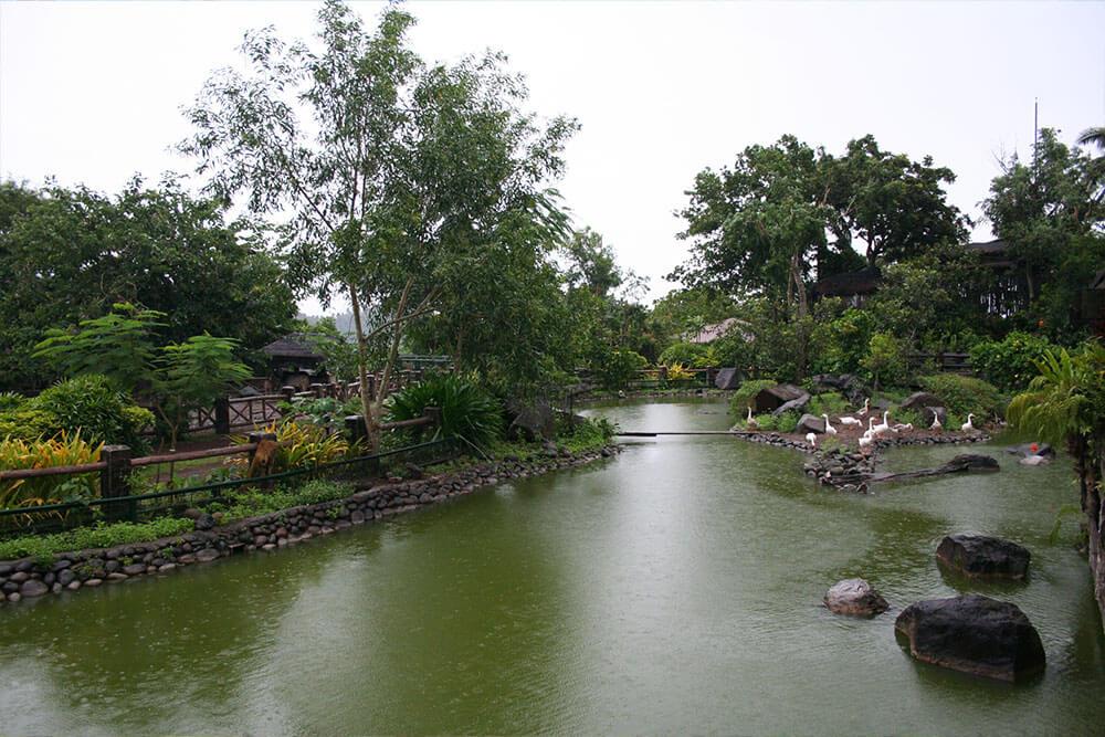 Animal Farm grounds