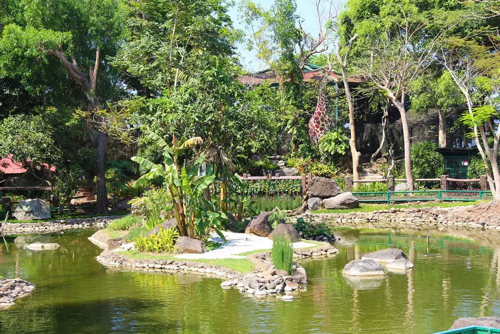 Animal Farm at Tagaytay Highlands
